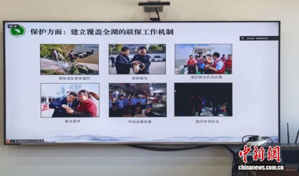 专业实盘配资 我国13处保护区织就东方白鹳迁飞守护网